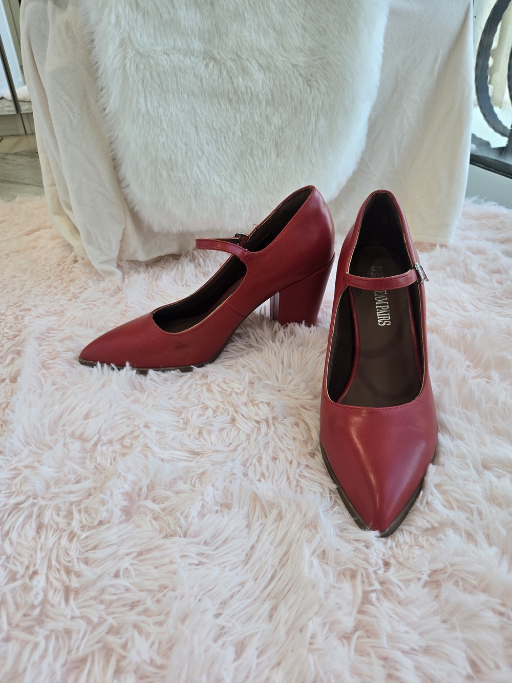 Dream Pairs Red Mary Jane Pointed Toe Block Heels